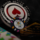 Jetons de poker Les Cinq Palmes 500